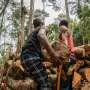 Desmatamento global diminuiu em 2025, mas aumentou na bacia do Congo