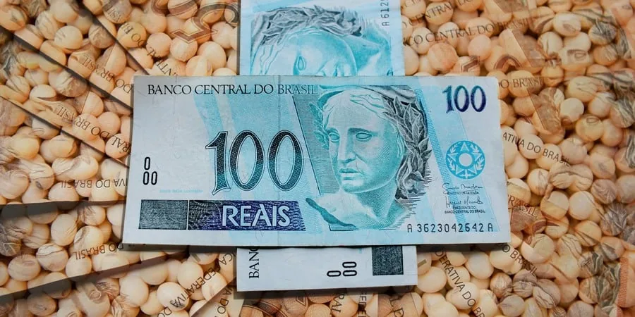 Mercado de soja avança no Brasil com dólar em alta
