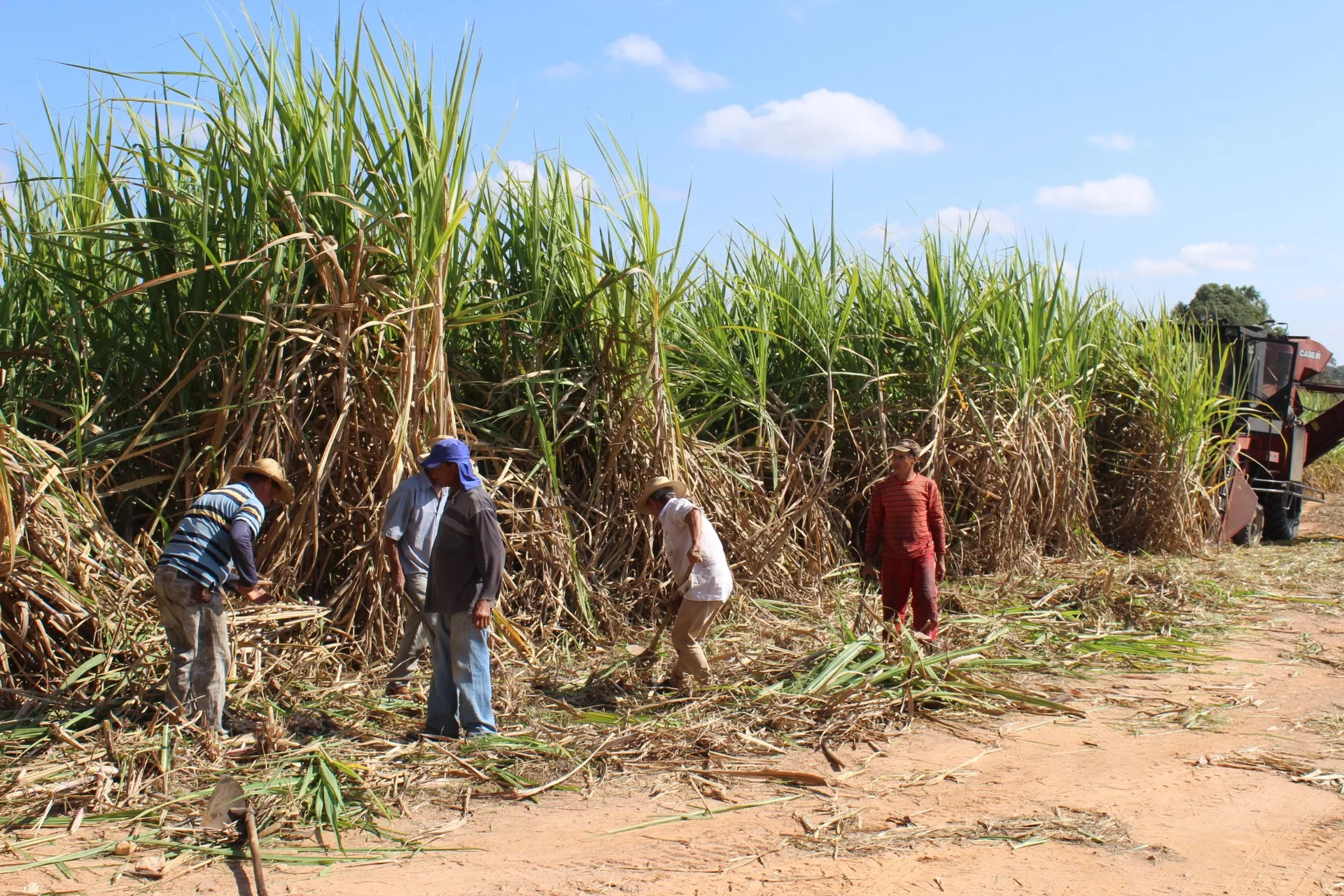 Câmara aprova projeto de incentivo à produção de cana no Nordeste