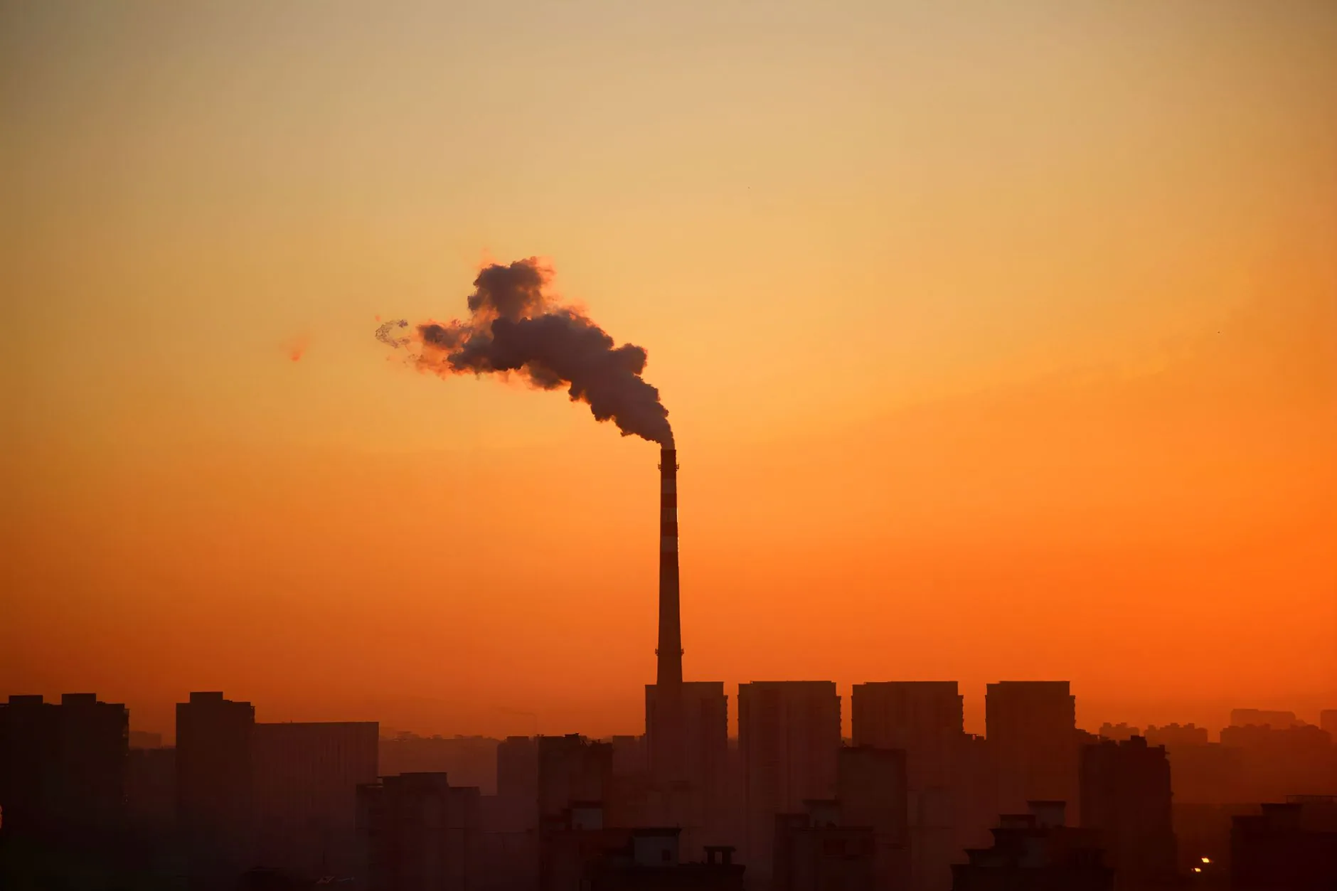 Entenda: Como o Meio Ambiente Está Evoluindo em 2026