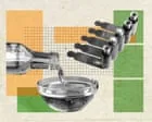 Seed oils: Are they really harmful?