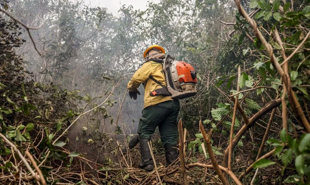 Incêdios no Amazonas resultam de ação humana intencional, diz ministro
