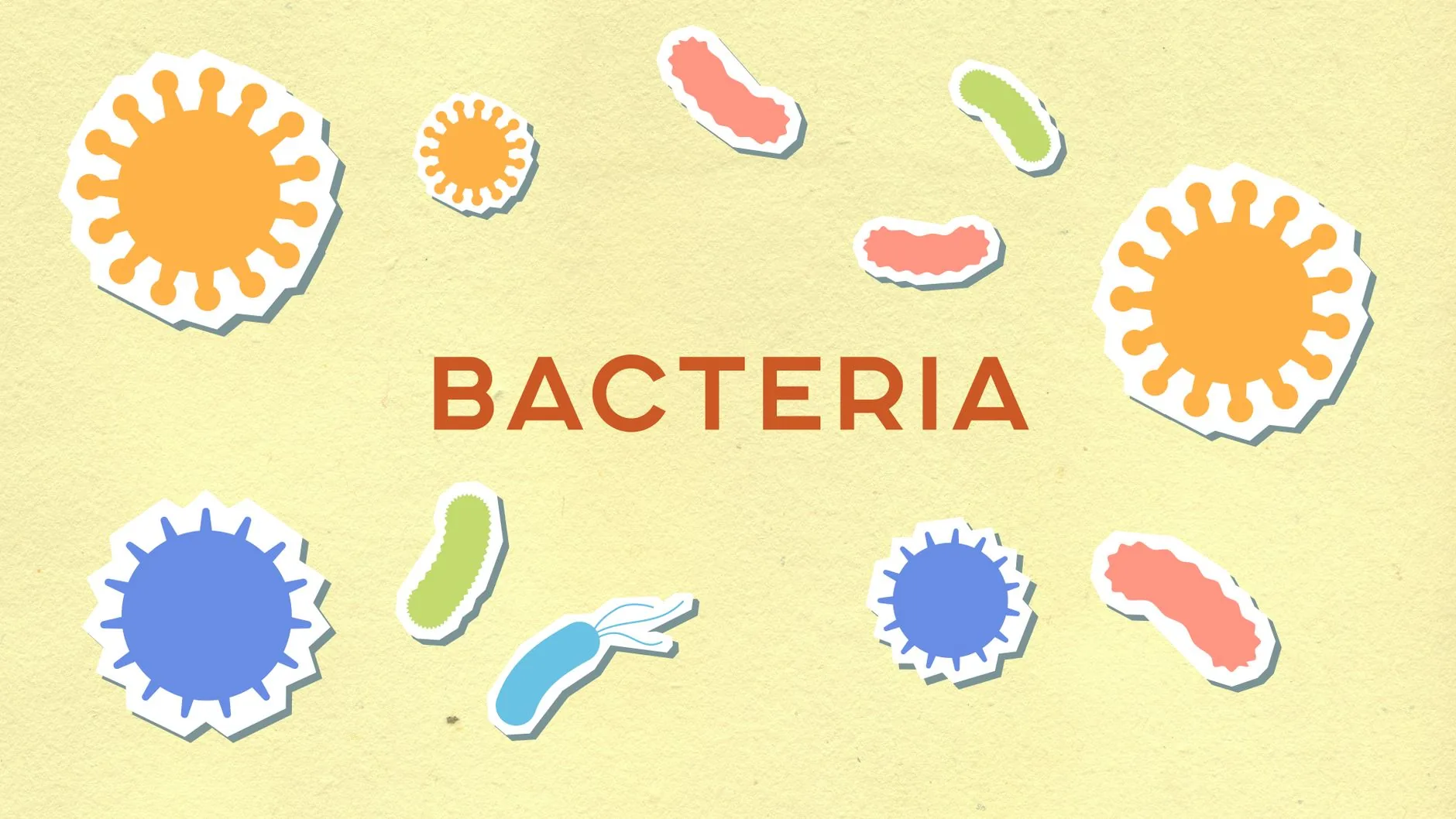 Gut Bacteria May Reveal How Fast Your Brain Is Aging