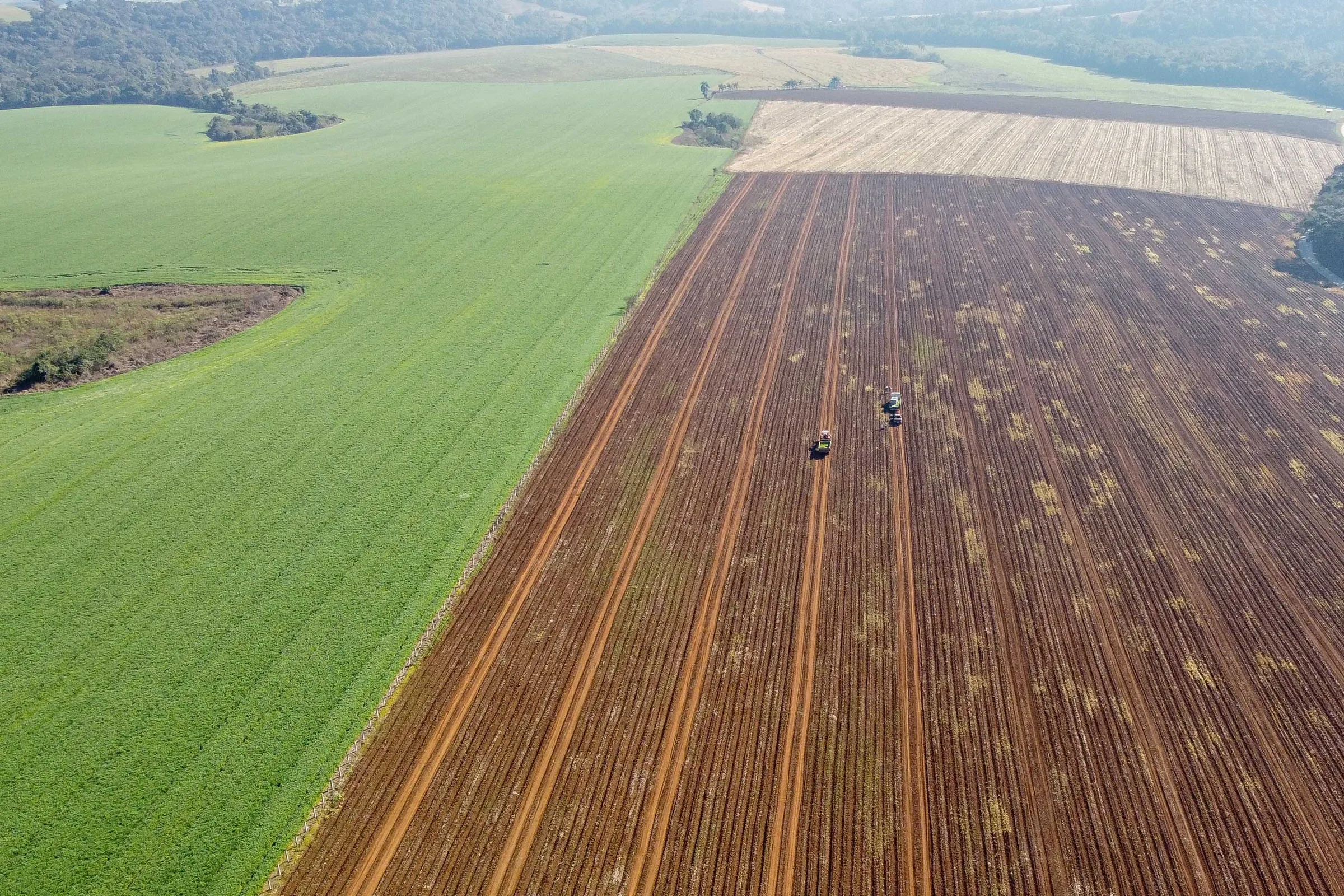 Crédito fundiário cresce e incentiva jovens agricultores